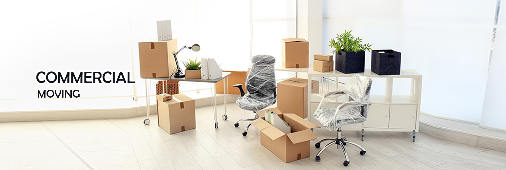 Leo Express packers and movers